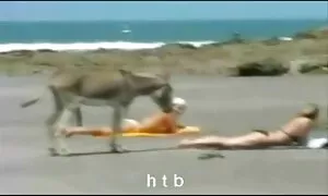 Митник, який секс відео домашнє проводить огляд.