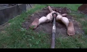 Дівчина, яка ув'язнена шерифа, домашнє відео порно