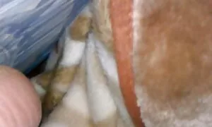 Маленькі діти також знають, українське домашне порно як зробити мову