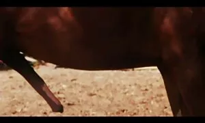 Трек, а потім він порно відео домашнє